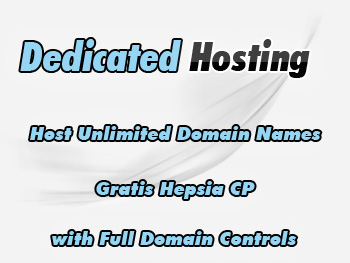 Moderately priced dedicated server hosting package
